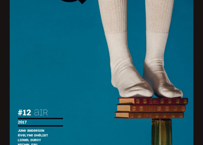 Couverture Faux Q #12