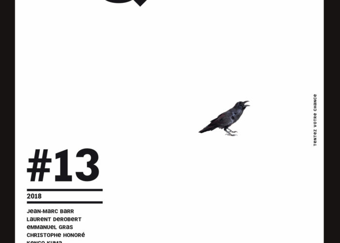 Couverture Faux Q #13