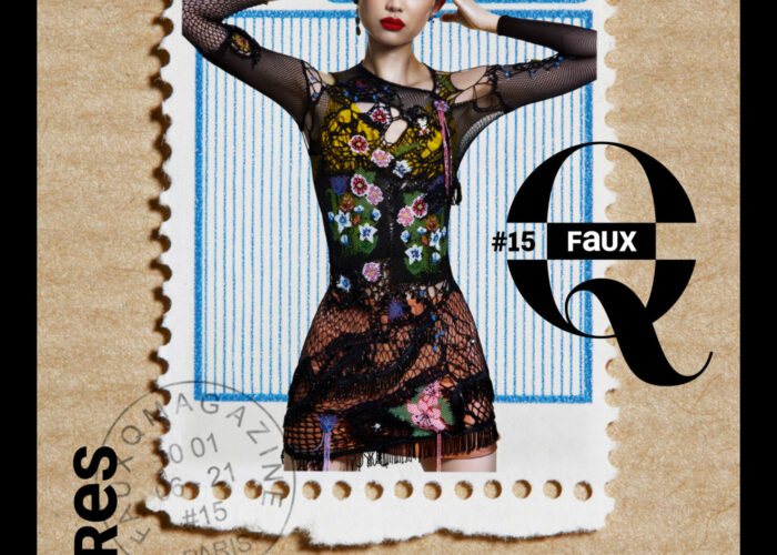 Couverture Faux Q #15