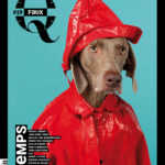 Couverture Faux Q #19 William Wegman