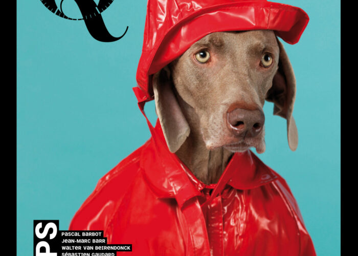 Couverture Faux Q #19 William Wegman
